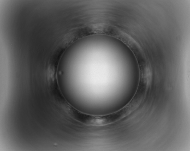 X0000092240610200709141125