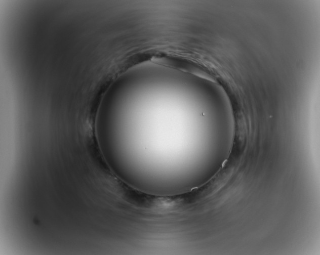 X0000092240613200709141125