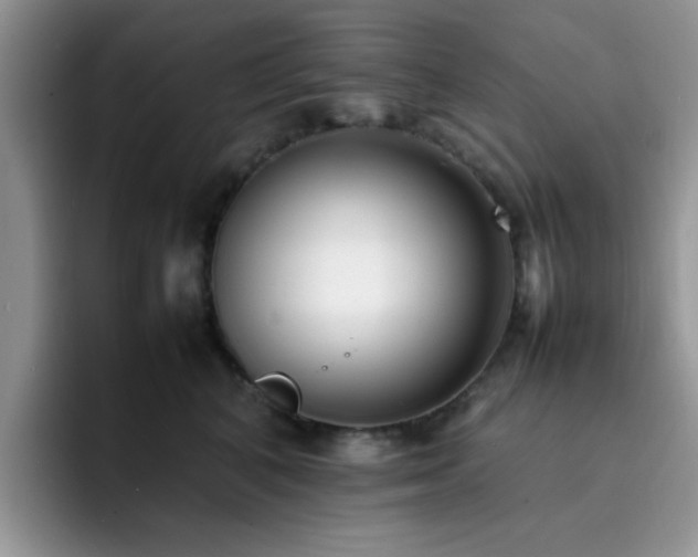 X0000092240616200709141125