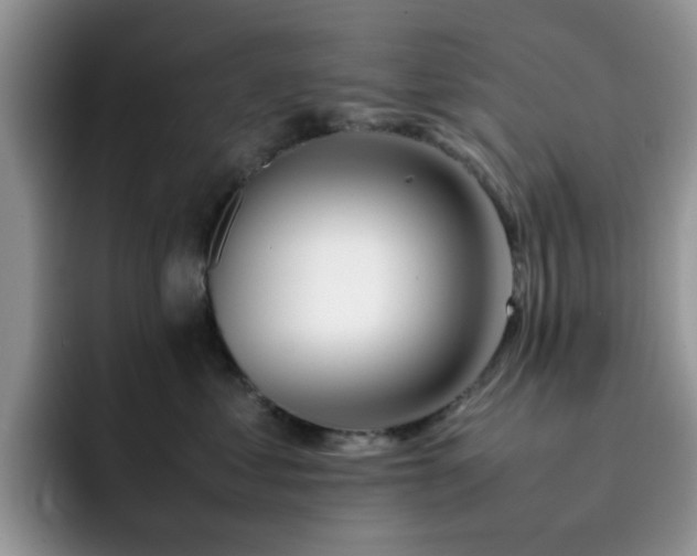 X0000092240621200709141125