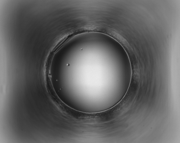 X0000092240626200709141124