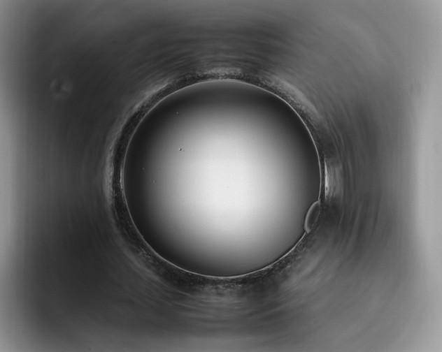 X0000092240627200709141124