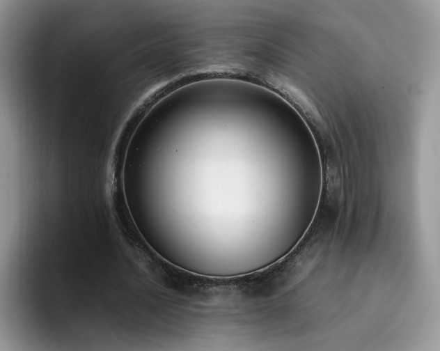 X0000092240628200709141124