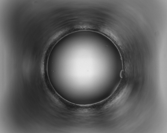 X0000092240629200709141124