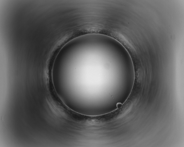 X0000092240634200709141124