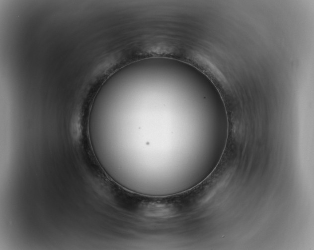 X0000092240635200709141124