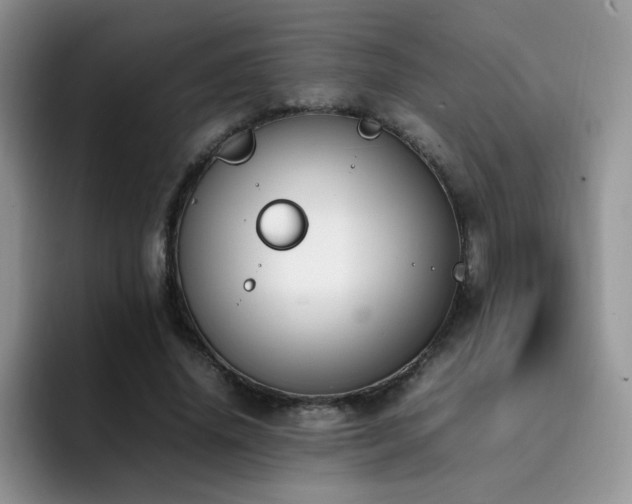 X0000092240636200709141124