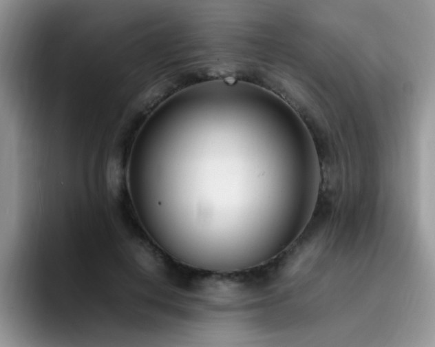 X0000092240648200709141124