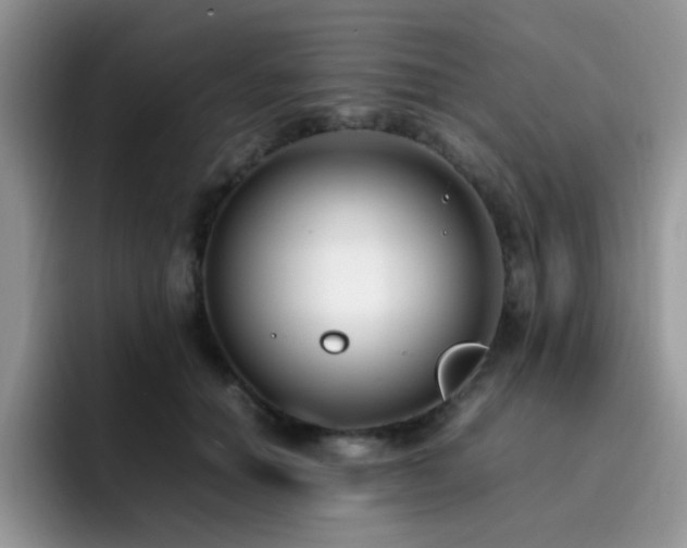 X0000092240654200709141124