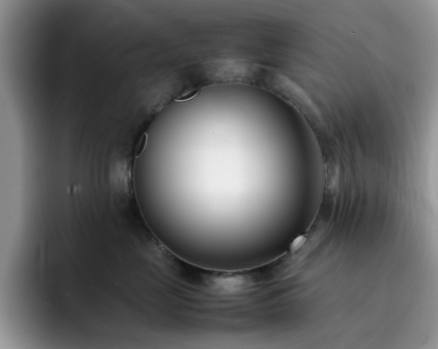 X0000092240669200709141124
