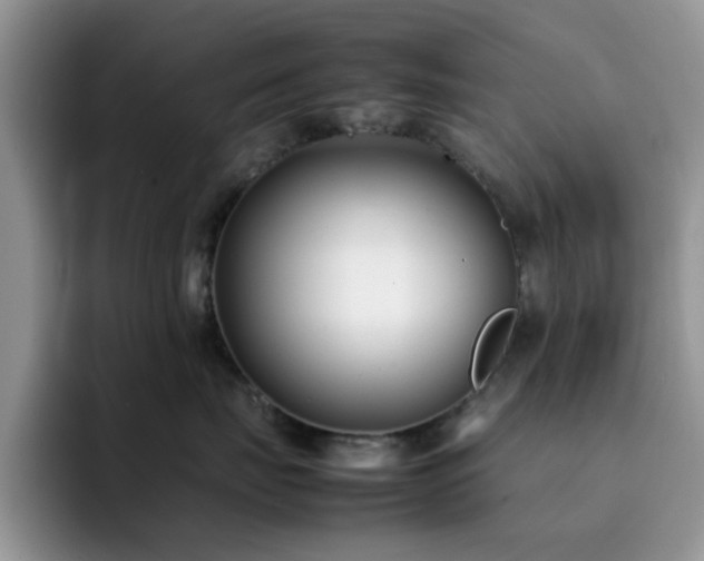 X0000092240671200709141124