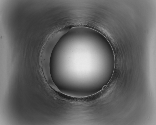 X0000092240673200709141124