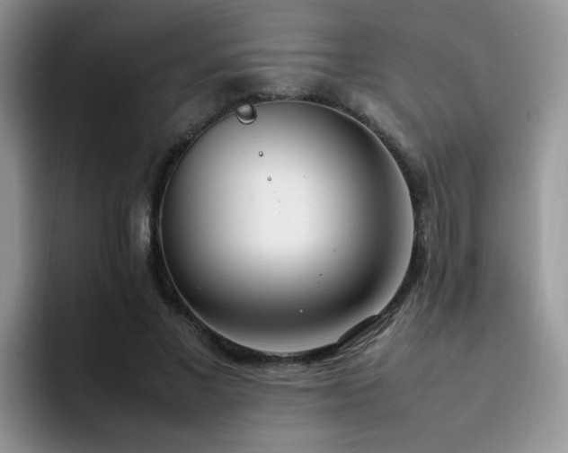 X0000092240685200709141124
