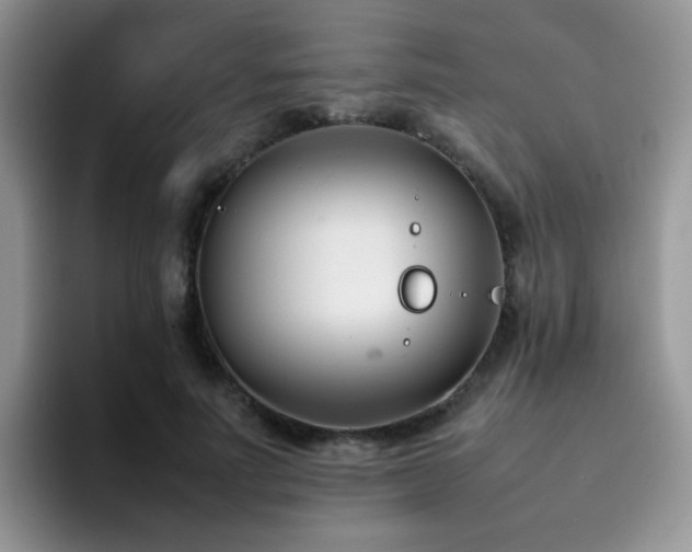 X0000092240691200709141124