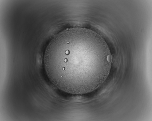 X0000092240695200709141124