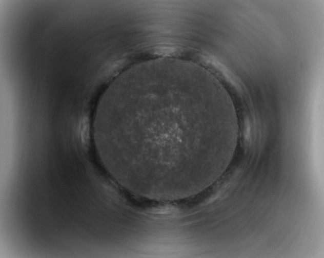X0000092240696200709141124