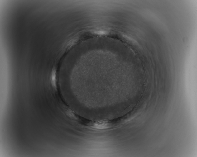 X0000092240720200709141123