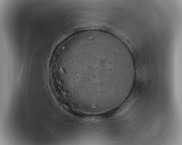 X0000092240721200709141123