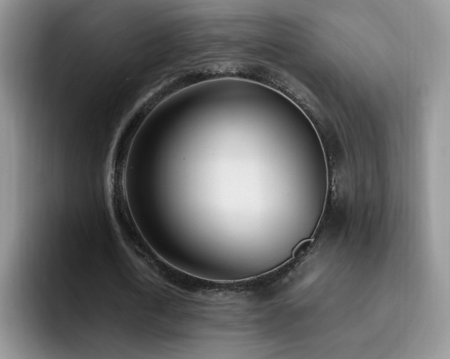 X0000092240722200709141123