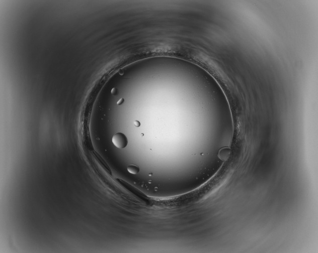 X0000092240725200709141123