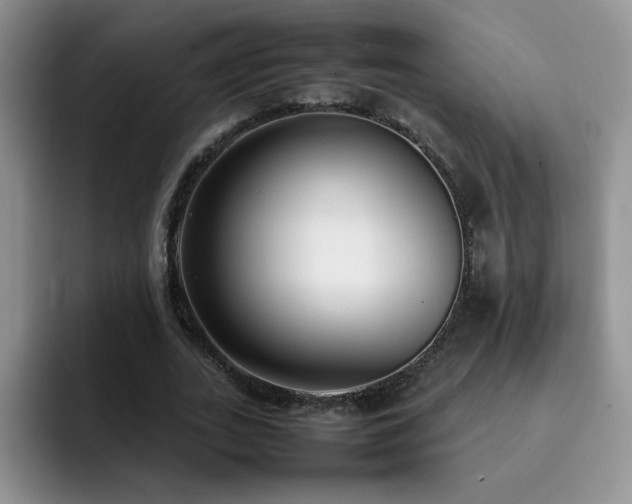 X0000092240727200709141123