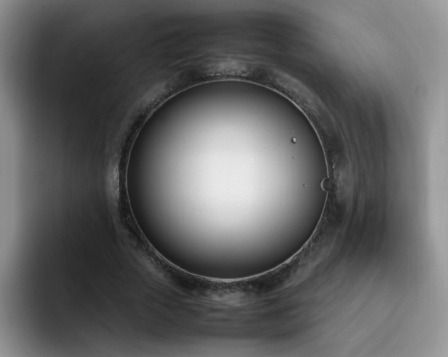 X0000092240729200709141123