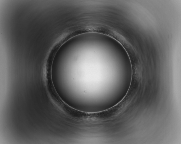 X0000092240730200709141123