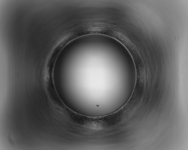 X0000092240731200709141123