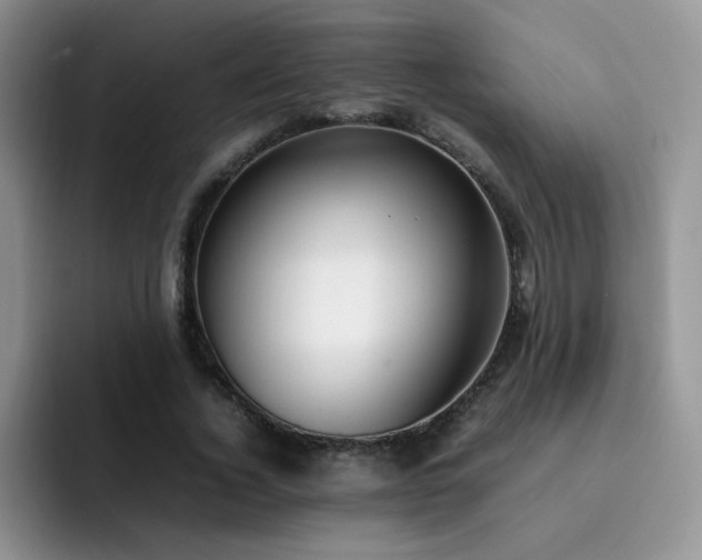 X0000092240732200709141123