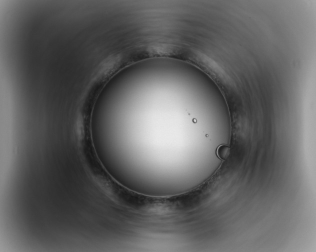X0000092240738200709141123