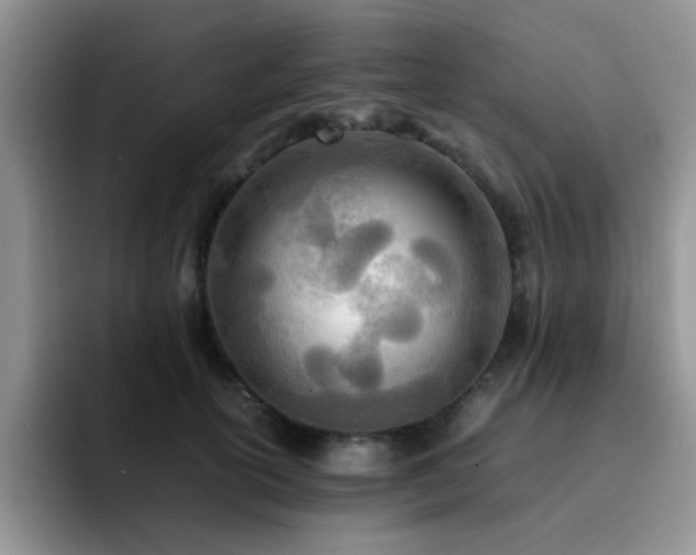 X0000092240754200709141123