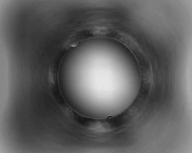X0000092240755200709141123