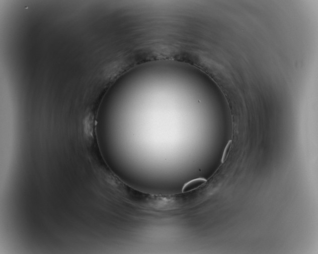 X0000092240768200709141123