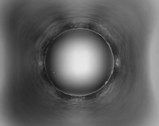 X0000092240771200709141123