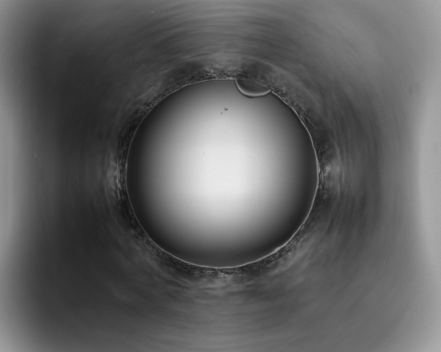 X0000092240772200709141123