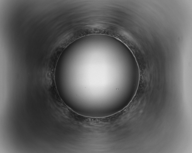 X0000092240774200709141123
