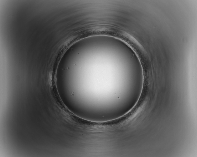 X0000092240777200709141123