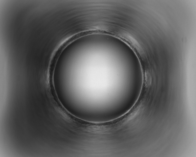 X0000092240780200709141123