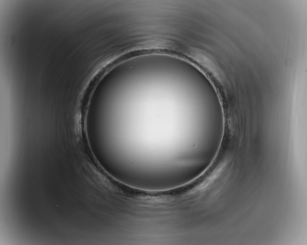 X0000092240781200709141123