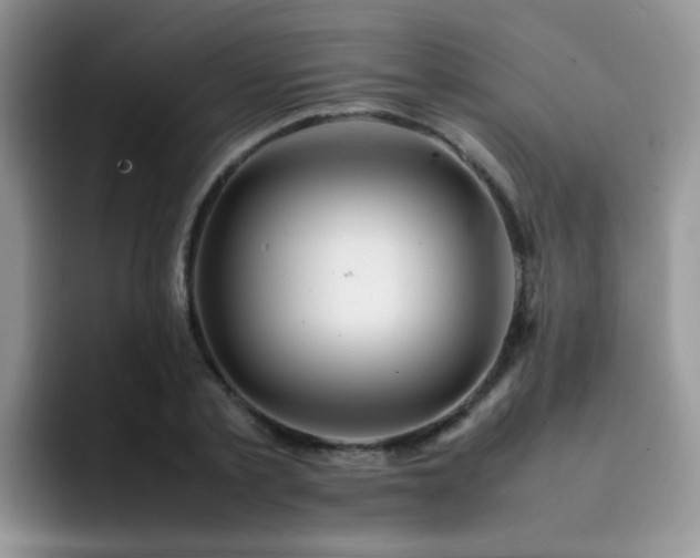 X0000092240789200709141123