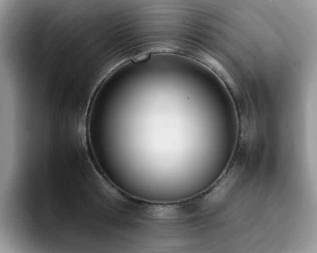 X0000092240802200709141122