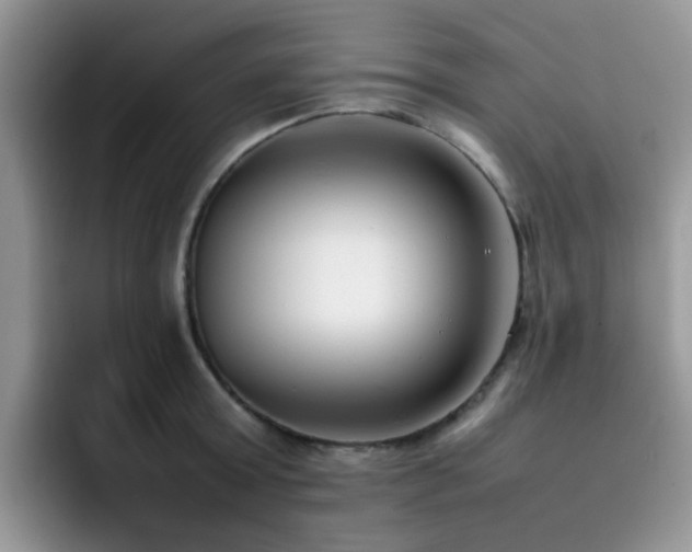 X0000092240803200709141122