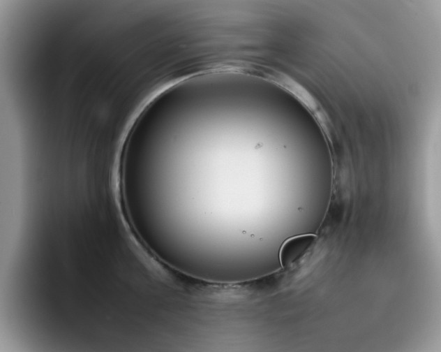 X0000092240811200709141122