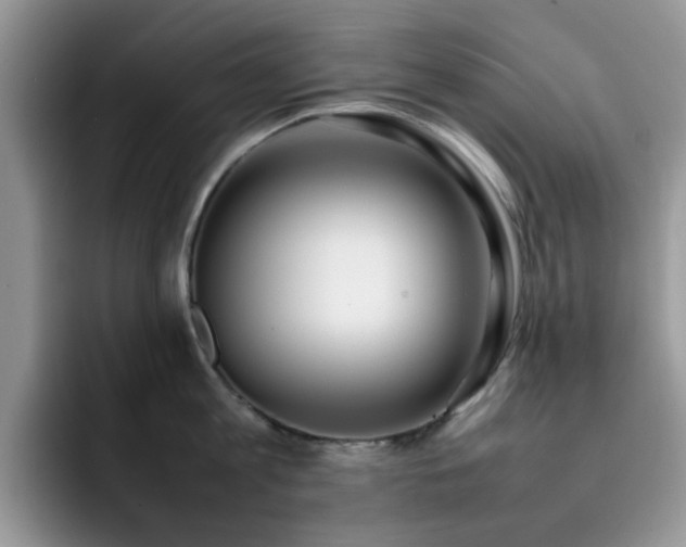 X0000092240813200709141122