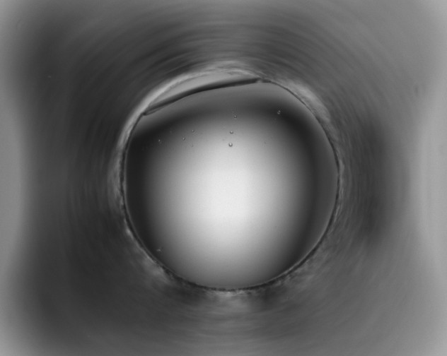 X0000092240816200709141122