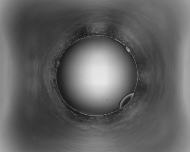 X0000092240817200709141122