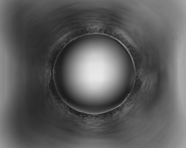X0000092240821200709141122