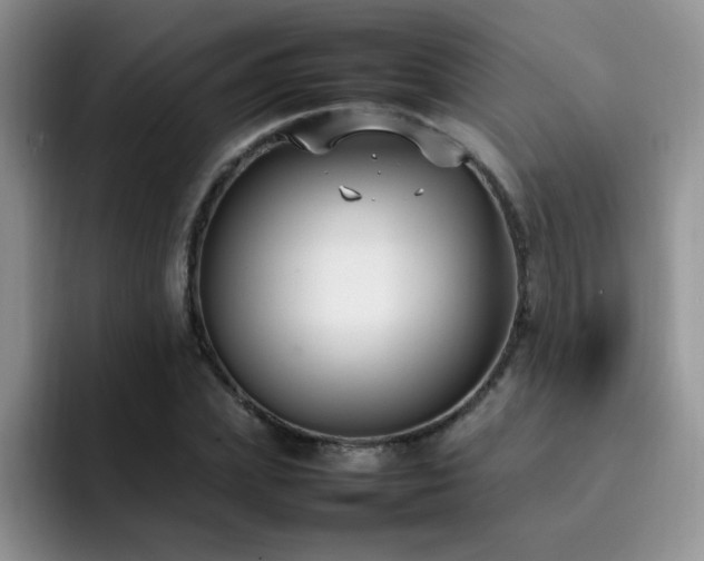 X0000092240831200709141122