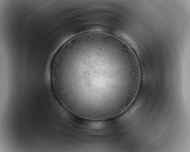 X0000092240835200709141122