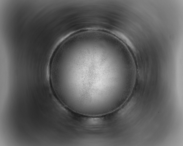 X0000092240839200709141122